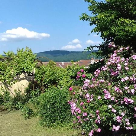 Вилла Jardin De Cure Клюни Экстерьер фото